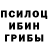 Псилоцибиновые грибы мухоморы Josephine Tajanela