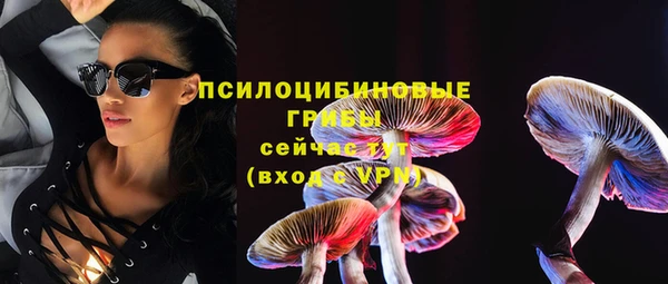 шишки Алексин