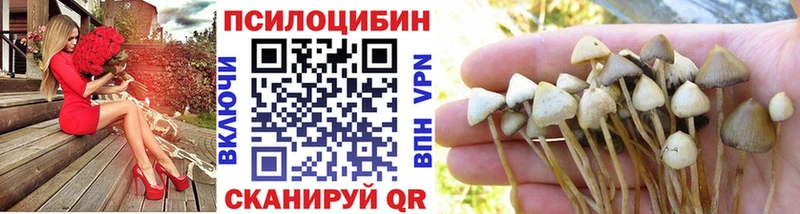 наркотики  Учалы  Псилоцибиновые грибы мухоморы 